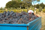 tractor-full.jpg