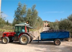 tractor.jpg